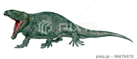 オフィアコドン 蛇の歯を持つ古代水辺のハンター ただし泳ぎ下手 オフィアコドン 蛇の歯を持つ古代水辺のハンター ただし泳ぎ下手 96676978