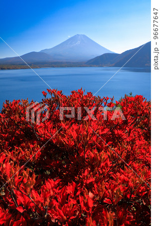 秋の風景 富士山と紅葉の本栖湖 山梨県 秋の風景 富士山と紅葉の本栖湖 山梨県 96677647