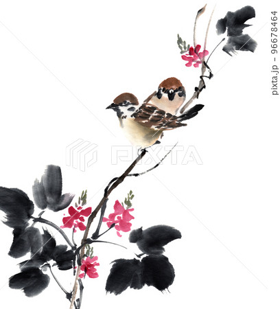 水墨画技法で描いた雀と葛の花の色紙手本 96678464