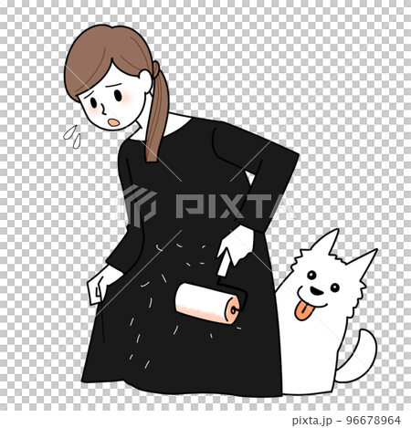 コロコロで犬の毛を取る女性 96678964