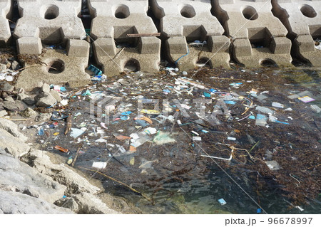 海洋汚染、港に集まる 96678997