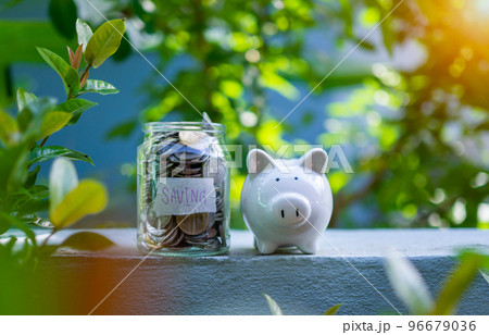 Piggy bank bottle with saving sign on natural bokeh background 96679036