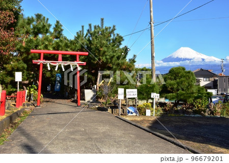 冨士市　鈴川の冨士塚（浅間宮）鳥居と冠雪富士山 96679201
