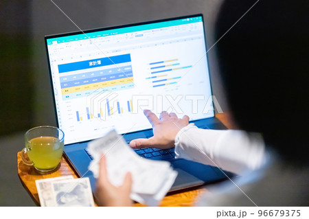家計簿　表計算　グラフ　比較　生活費　レシート　女性　新入社員　カフェ 96679375