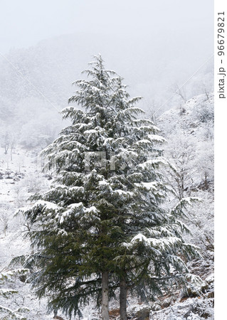 雪景色 96679821