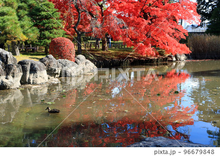 紅葉の日本庭園 紅葉の日本庭園 96679848