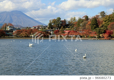 秋の高松の池と岩手山 96680273