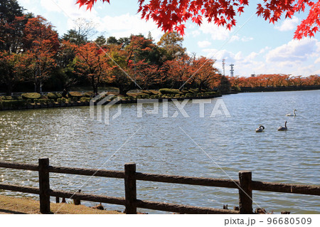 秋の高松の池 秋の高松の池 96680509