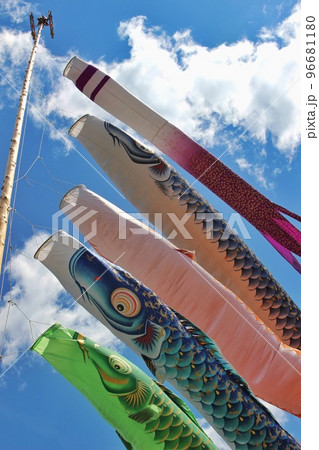 大きな大きな鯉のぼりの写真素材 [96681180] - PIXTA