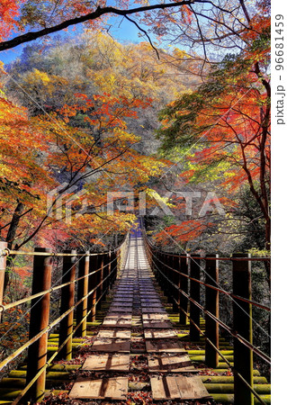 紅葉の花貫渓谷汐見滝吊橋 96681459