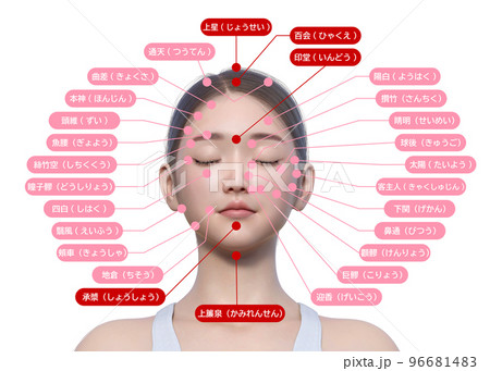 女性の顔のツボ　ナチュラルな日本人3Dモデルの上半身 顔アップの3Dイラスト 96681483