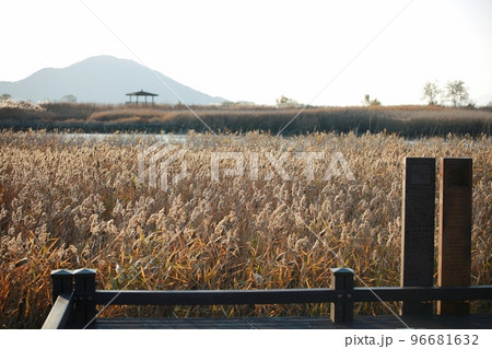 自然 水 風景 96681632