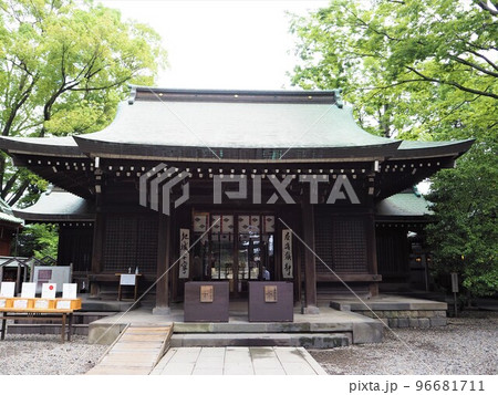 縁結びの神様である川越氷川神社 縁結びの神様である川越氷川神社 96681711
