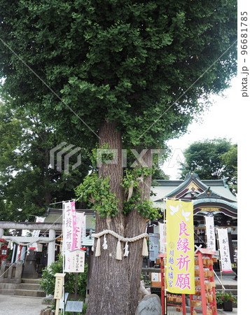 川越八幡宮 川越八幡宮 96681785