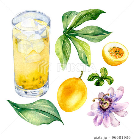 Set of passion fruits. leaves and smoothies watercolor illustration isolated on white. Set of passion fruits. leaves and smoothies watercolor illustration isolated on white. 96681936