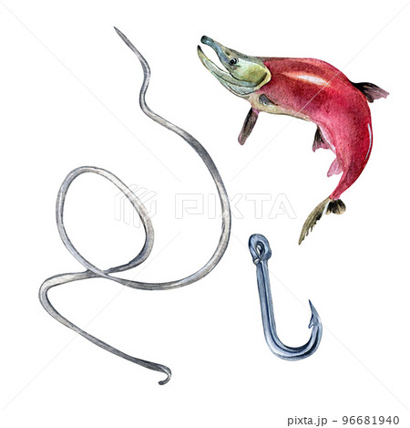 Single sockeye salmon, fish hook and line watercolor illustration isolated on white background. Single sockeye salmon, fish hook and line watercolor illustration isolated on white background. 96681940