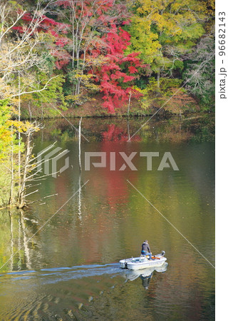 千葉県君津市片倉ダム・笹川湖の紅葉 千葉県君津市片倉ダム・笹川湖の紅葉 96682143