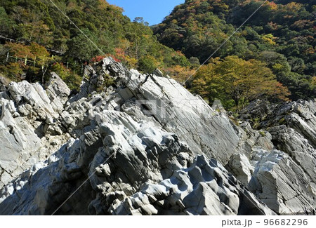 大歩危小歩危の紅葉 96682296