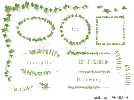 蔦や葉っぱのベクターイラストのフレームセット（アイビー、ユーカリ、ローズマリー） 96682545