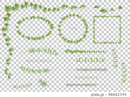 蔦や葉っぱのベクターイラストのフレームセット（アイビー、ユーカリ、ローズマリー） 96682545