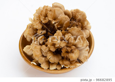Maitake (Grifola frondose) mushroom on white background Maitake (Grifola frondose) mushroom on white background 96682895