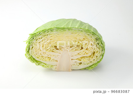キャベツ キャベツ 96683087