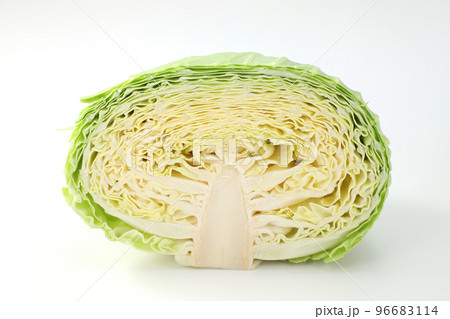 キャベツ 96683114