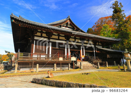 【奈良県】晴天の東大寺法華堂（三月堂） 96683264