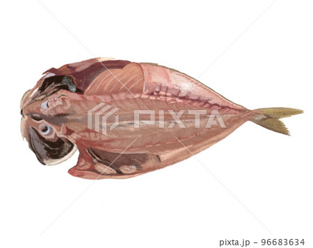 魚の干物 魚の干物 96683634