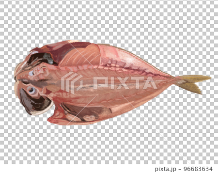 魚の干物 魚の干物 96683634