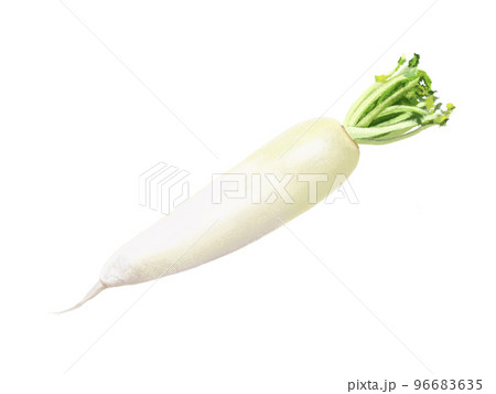 大根 大根 96683635