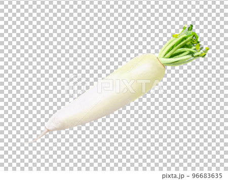 大根 大根 96683635