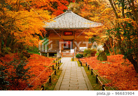 松島　円通院の紅葉 96683904