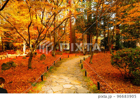 松島　円通院の紅葉 96683905