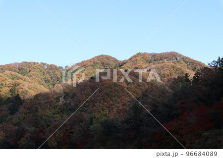 長瀞　宝登山 96684089