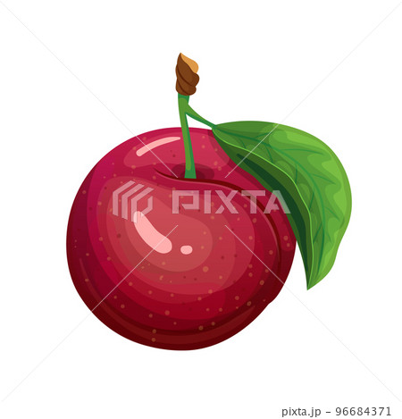 red plum cartoon vector illustration 96684371