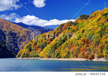梓湖(奈川渡ダム湖)の紅葉 梓湖(奈川渡ダム湖)の紅葉 96685188