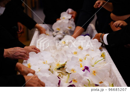 胡蝶蘭を手向ける親族 胡蝶蘭を手向ける親族 96685207