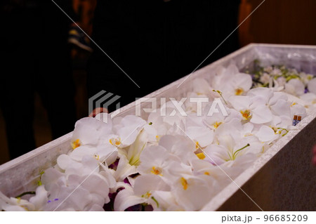 胡蝶蘭でいっぱいのお棺 96685209