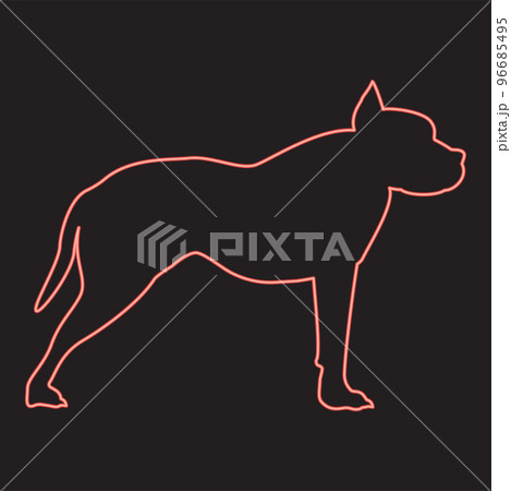 Neon pit bull terrier red color vector illustration image flat style 96685495
