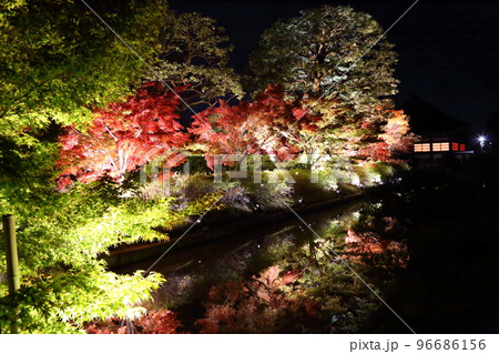 世界文化遺産  東寺（真言宗総本山　 教王護国寺） 紅葉ライトアップ  【京都市南区】 96686156