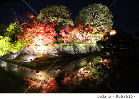 世界文化遺産 東寺(真言宗総本山 教王護国寺) 紅葉ライトアップ 【京都市南区】 世界文化遺産 東寺(真言宗総本山 教王護国寺) 紅葉ライトアップ 【京都市南区】 96686157