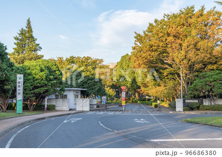 群馬県前橋市　　国立学校法人群馬大学（荒牧キャンパス） 96686380