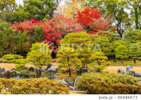 古都京都の秋　世界遺産　紅葉の元離宮二条城　清流園 96686673