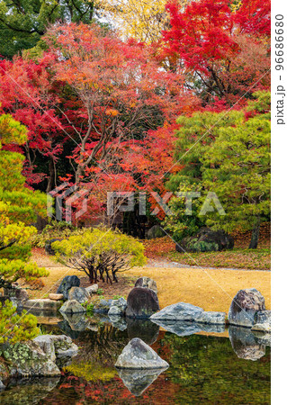 古都京都の秋　世界遺産　紅葉の元離宮二条城　清流園 96686680