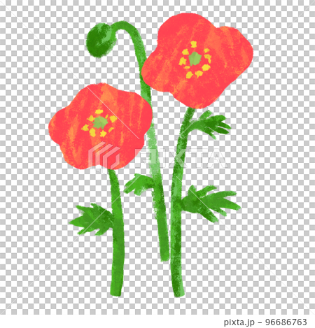 手繪罌粟花透明PNG 96686763