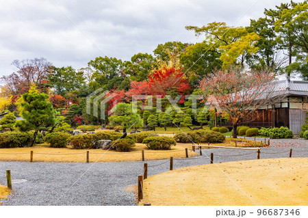 古都京都の秋 世界遺産 紅葉の元離宮二条城 清流園 古都京都の秋 世界遺産 紅葉の元離宮二条城 清流園 96687346