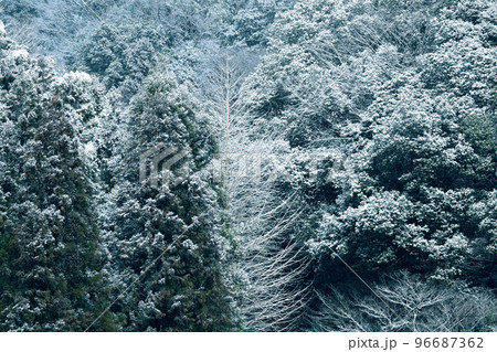 雪景色足助香嵐渓の樹木に降る雪 雪景色足助香嵐渓の樹木に降る雪 96687362