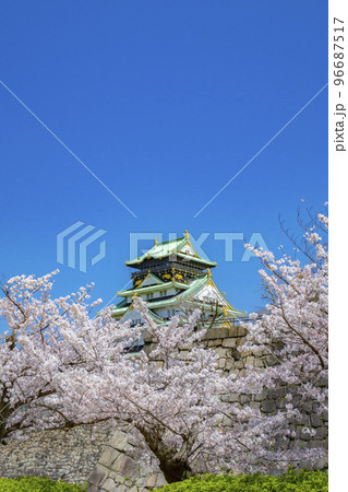大阪城 桜 春 大阪城 桜 春 96687517