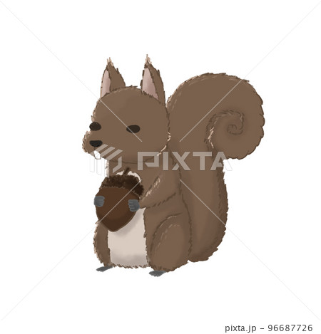 Hand drawn cute squirrel character. Hand drawn cute squirrel character. 96687726